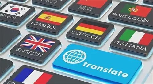 圖 沈陽本地翻譯公司 駕照護(hù)照翻譯蓋章 政府認(rèn)證 包郵 沈陽翻譯服務(wù)