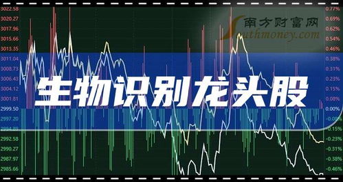 生物識別龍頭企業前三名 2025年展望與技術開發服務解析